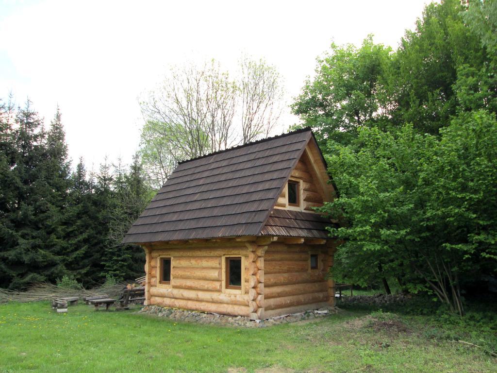 Noclegi Pod Malym Krolem Ustrzyki Dolne Exterior foto